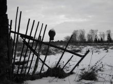 Long forgotten / ***