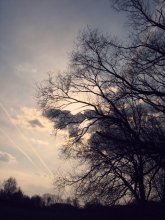 will soon be a new day / ...