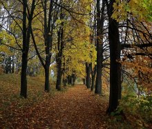 In den alten Park / ***