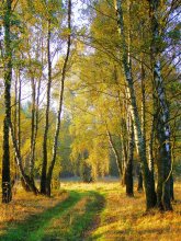 October morning / ***