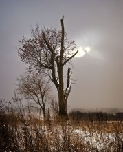 Wird die Sonne in unserem kleinen Fenster / ***