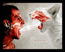 reincarnation / ***