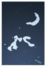 Poodle eating sausage a moonlit night / ***