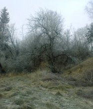 Reshtki veski / ***