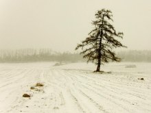 First snow / ***
