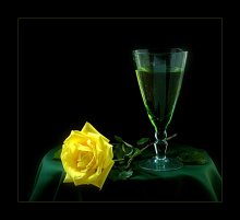 Yellow Rose / ***
