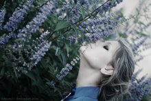 Smell / ---