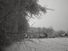 Winter / ***