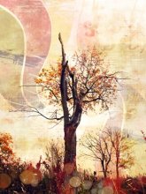 tree / -----