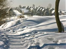 Winter / ***