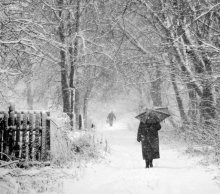 unusual walk (winter) / ***