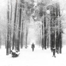 Snow / *********