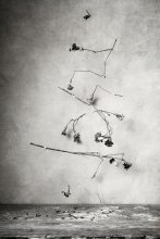 cloves / ***