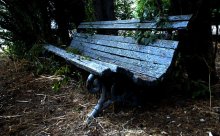 forgotten bench / ***