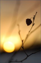 sunset 2 / *****