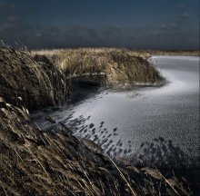 Rustling reeds ... / ***