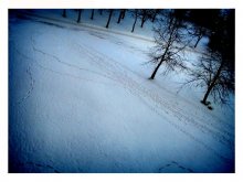 road / ***