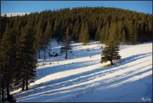 long shadows / ***