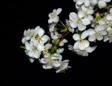 Mainacht / ***