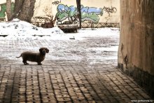 Old Yard / ***