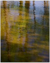 Watercolor / ***