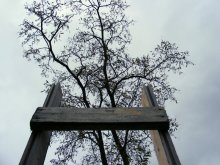 in den Himmel / ***