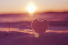 Sunset / ***