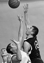 &nbsp; / basketball