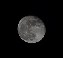 Moon / ***