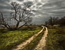 Road / ***