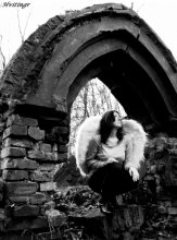 Angels do not live here anymore / ***