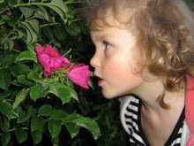daughter / ***
