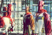 Springreiten / *****