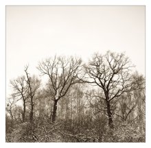 Giants / http://did-e.livejournal.com/