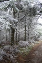 Wintermärchen * 1 / ***