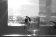 Dependence kills ... / *****
