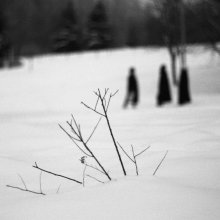Path / ............