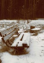 Im alten Park / *****