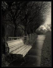Track / ***