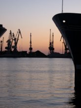 in port / ***