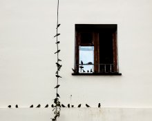 sparrows ^ 2 / ***
