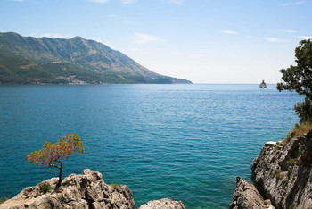 One / Montenegro, 2019