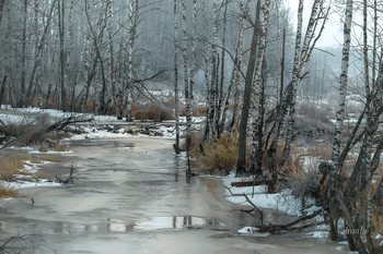 Frühlingsfarben / ***