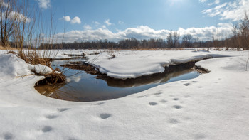 Spring / ***