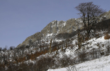 Eklizi Brecher / ***