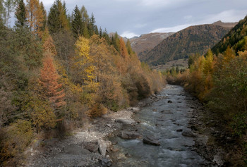 Goldenen Farben des Herbstes / ...