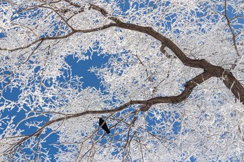 *** Under blue skies. / ***