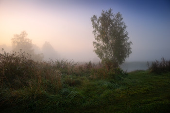Herbstnebel / ***