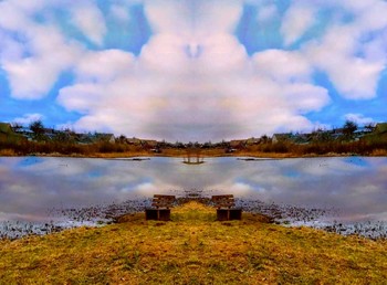 Country Landscape / ***