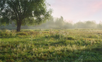 The sun rises ... / ***